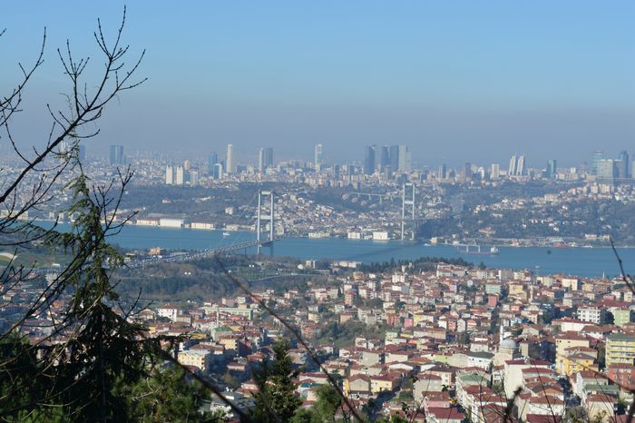 HOW BELATED JEALOUSY AFFECTED BELISARIUS’S MILITARY JUDGMENT