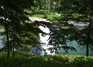 Jesus Reveals Who He Is