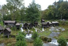 The Silence of Europe